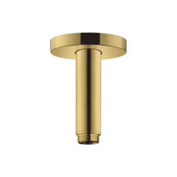 Hansgrohe plafonski drzač tuš ruže S 10cm zlantni