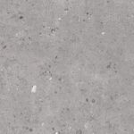 Biophilic Grey 60x60