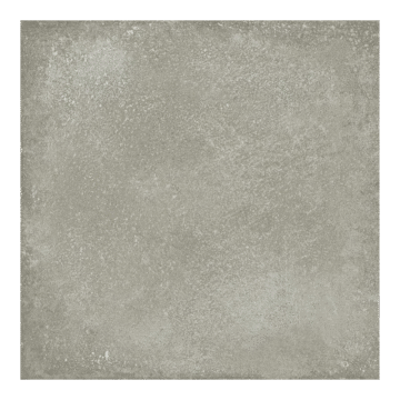 Faetano Progetto 1962 Agave Natural Matt 20x20