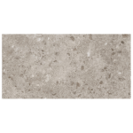 Bierzo Gris Seda Lappato 60x120 Rett