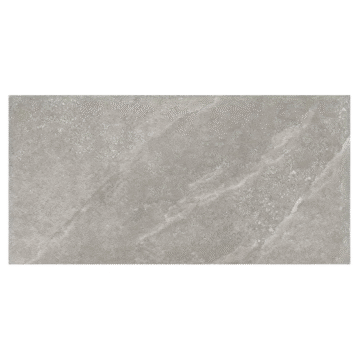 Artdesia 2.0 Silver Nat 60x120 Rett