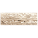 Super Ceramica Fresno Arena 19x57