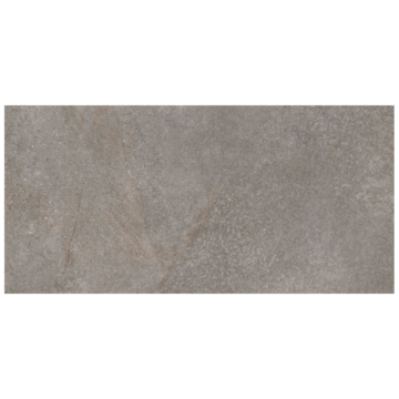 Shins Pardo 60x120 rett