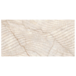 Champagne 3731 C Decor glossy 30×60