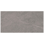 Core Grey DARSR874 R10 29.8×59.8