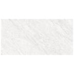 Forum Light Gray 30x60